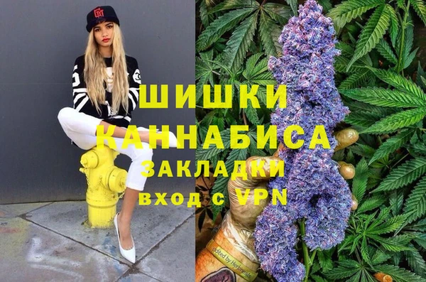 соль ск Белокуриха