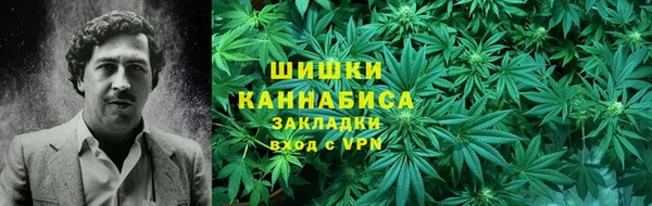 соль ск Белокуриха