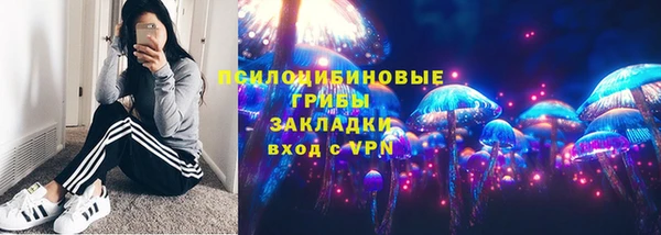 соль ск Белокуриха