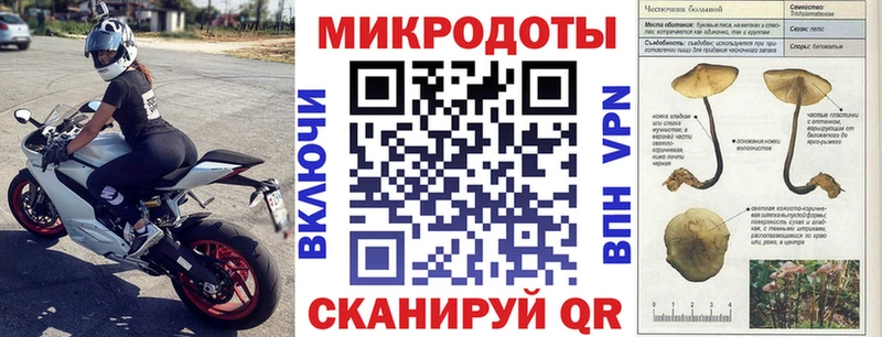 Галлюциногенные грибы мухоморы  где купить   Шуя 
